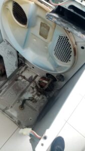 WhatsApp Image 2025-11-25 at 8.55.34 PM